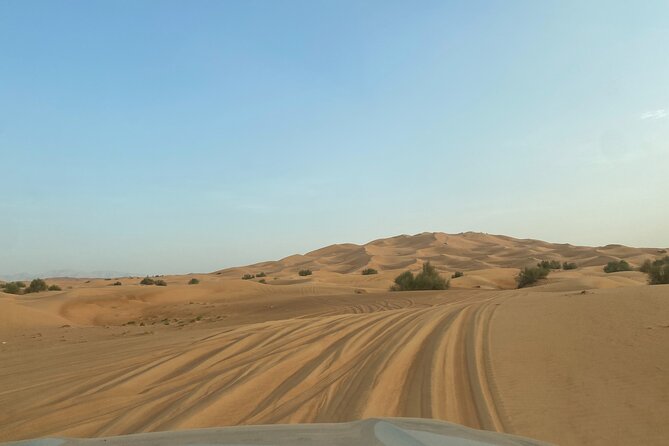 Dubai Desert Safari, Camel, Live BBQ & Shows (Private 4x4 Car) - The driver can shape the whole experience