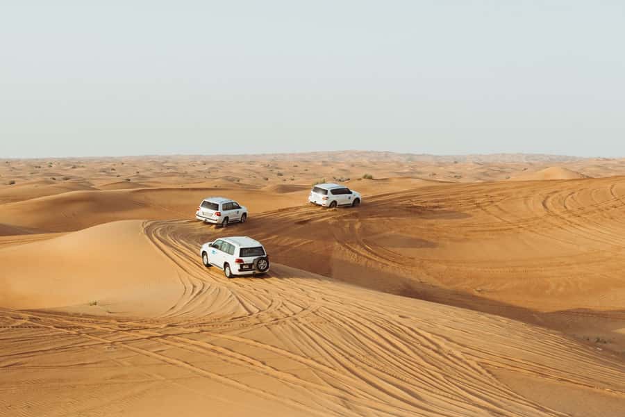 Dubai: Desert Safari, Camel Ride, and BBQ Dinner - Key points to know before booking