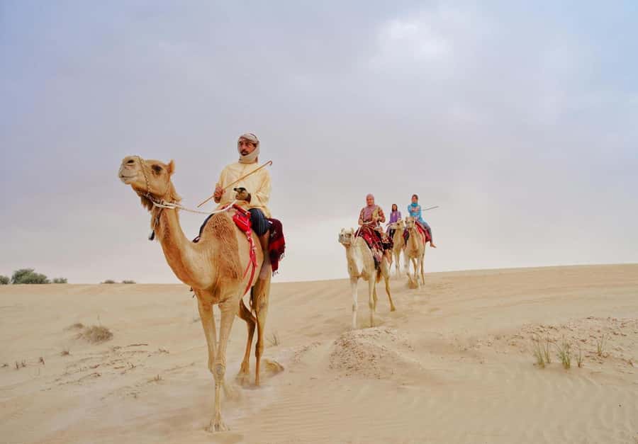 Dubai: Desert Safari, Camel Ride, Sandboard & Buffet Dinner - From Dubai pickup to the open desert