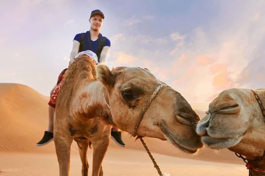 Dubai Desert Safari - Camel Ride, Sandboarding & 30 Min Quad - Who should book this desert safari?