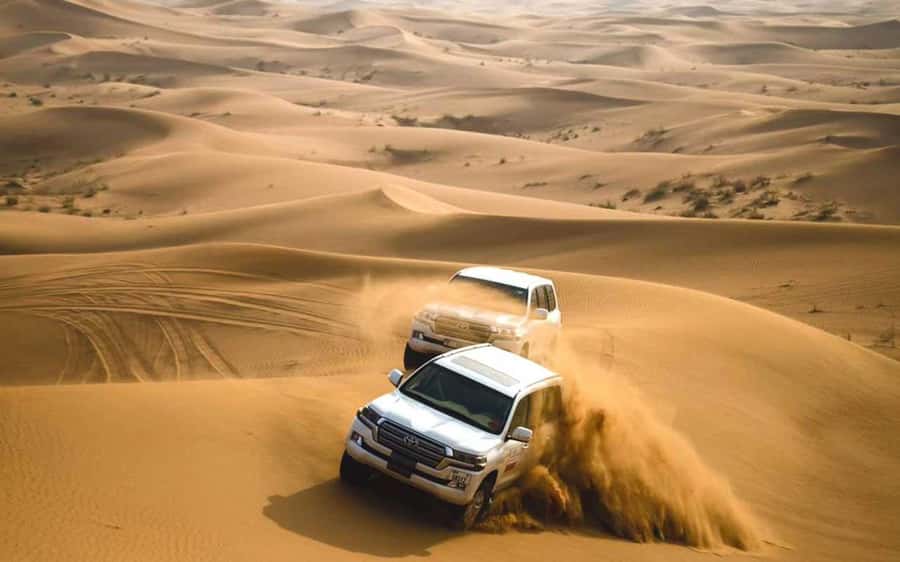 Dubai: Desert Safari, Camel Ride, Sandboarding, Quad Bike - Sandboarding: simple, sandy, and harder than it looks