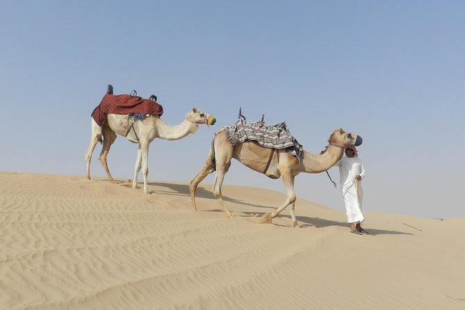 Dubai Desert Safari Dune Bashing, 60min ATV Quad, Camel Ride, BBQ - Lahbab dune bashing with an experienced driver