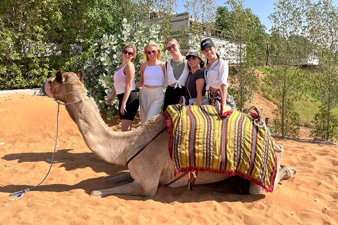 Dubai Desert Safari: Dune Bashing, Camel Ride & BBQ Dinner - Tanoura, Khaliji dance, and fire performances