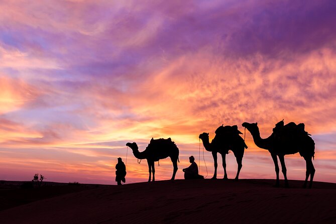 Dubai Desert Safari Dune Bashing, Camel Ride, Sand Boarding, BBQ Dinner. - Drinks and the buffet dinner