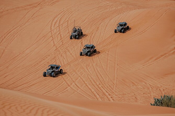 Dubai Desert Safari Dune Bashing, Camel Ride, Sandboarding & BBQ - What the $36.28 price really buys