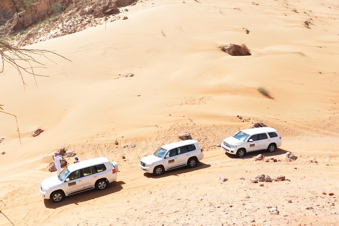Dubai Desert Safari Exclusive jeep, activities, shows (01-05 persons) per jeep - A private ride into Dubai’s open desert