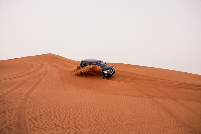 Dubai Desert Safari: Experience the Best of the Arabian Desert - What the strongest feedback tells you