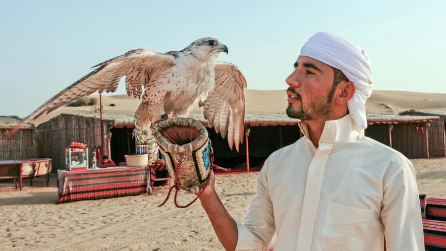 Dubai Desert Safari - Premium BBQ Dinner, Camel Ride & Shows - Tanoura, fire, and belly dance under the evening sky