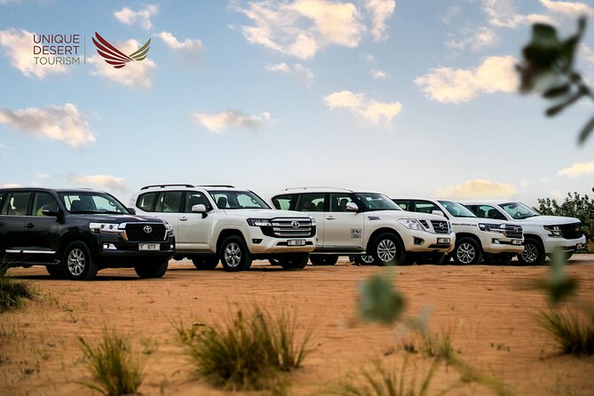 Dubai Desert Safari Standard Package - Dune bashing with an experienced driver