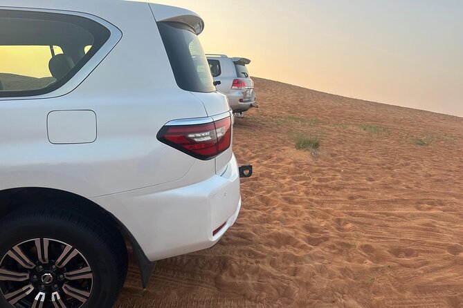 Dubai Desert Safari Thrilling Adventure Unforgettable Experiences - Is the $75 price good value?