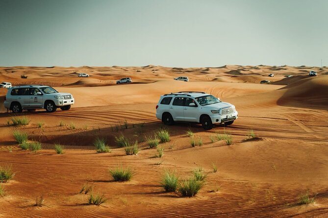 Dubai Desert safari Tour with Live BBQ & Belly Dance Shows - Lahbab: 90 minutes of dune bashing and desert action