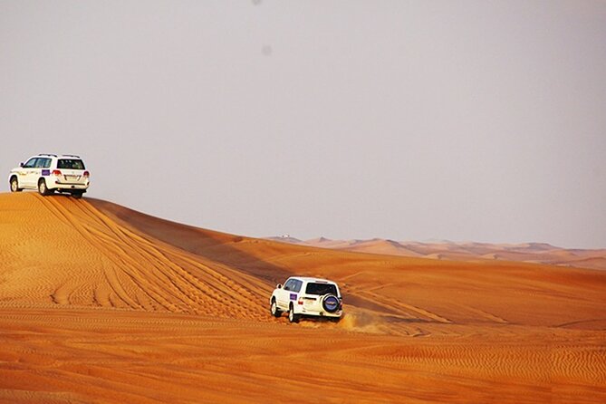 Dubai Desert Safari with BBQ, 3 Shows & Camel Ride at Majlis Camp - What Majlis Camp adds to the evening