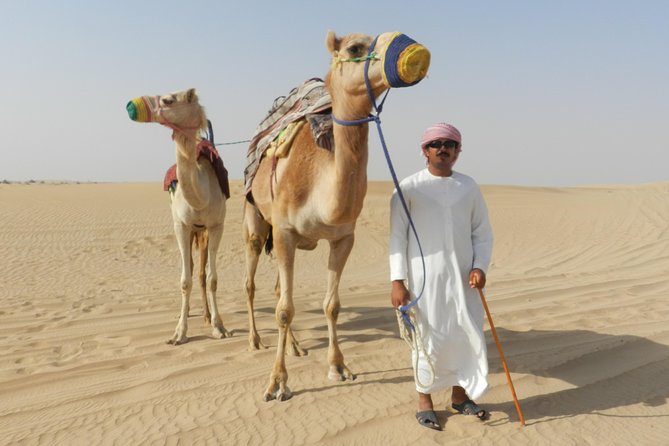 Dubai Desert Safari with BBQ, 3 Shows & Camel Ride at Majlis Camp - BBQ dinner and what is on the buffet