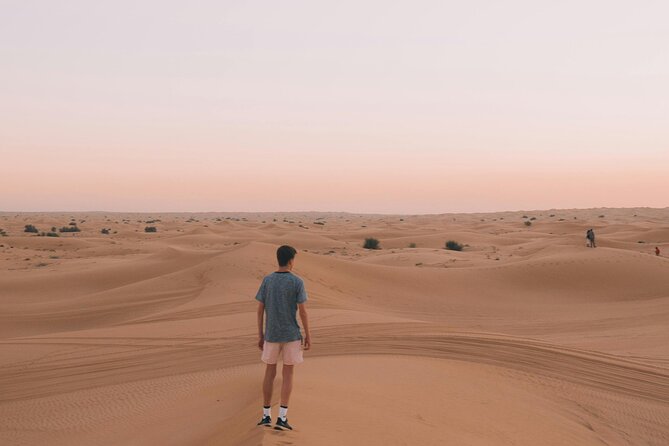 Dubai Desert Safari with BBQ Dinner and Live Shows - What to expect from the BBQ dinner