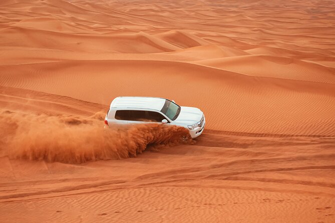Dubai Desert Safari with BBQ Dinner and Live Shows - Who should book this desert safari?