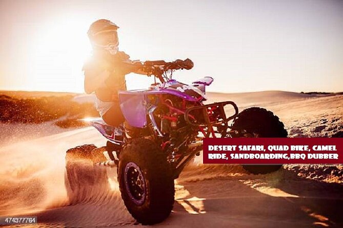 Dubai Desert Safari With BBQ, Quad Bike And Camel Ride - Camel riding, sandboarding, and falcon photos