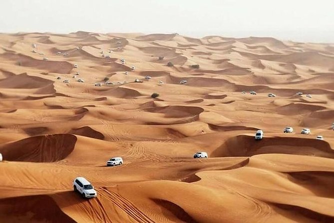 Dubai Desert Safari with BBQBuffet, Dune Bashing, Boarding, Camel - The 4WD dune ride and high-dune photo stop