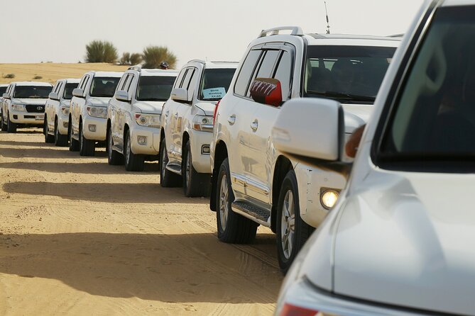 Dubai Desert Safari with Belly Dance, Fire Show and Tanura Show-The Full Package - Sandboarding and a short camel ride