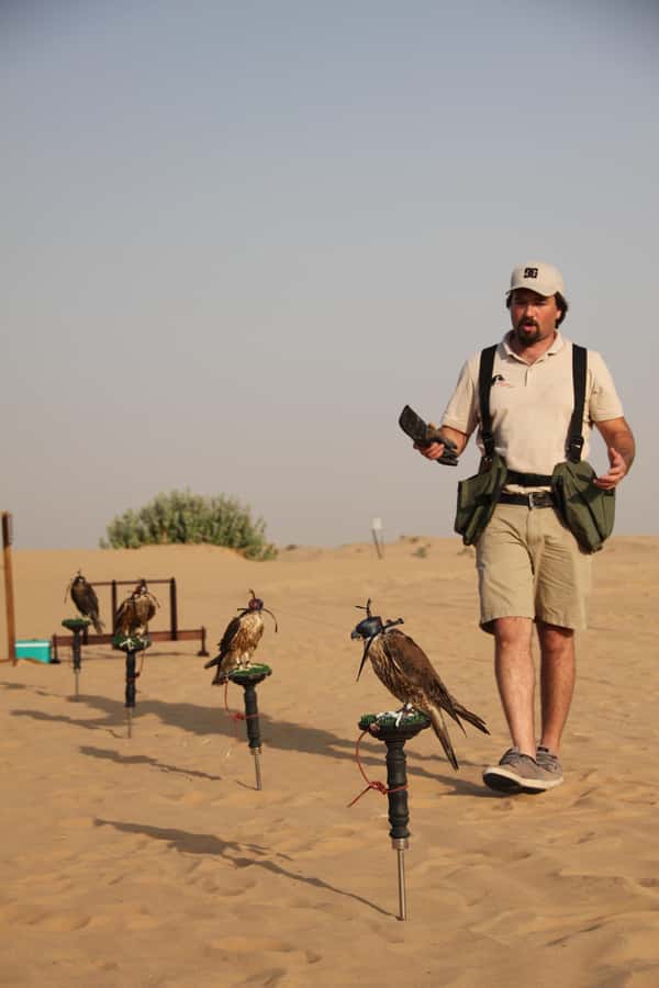 Dubai Desert Safari with Burj Khalifa (Ticket Only) - My practical verdict