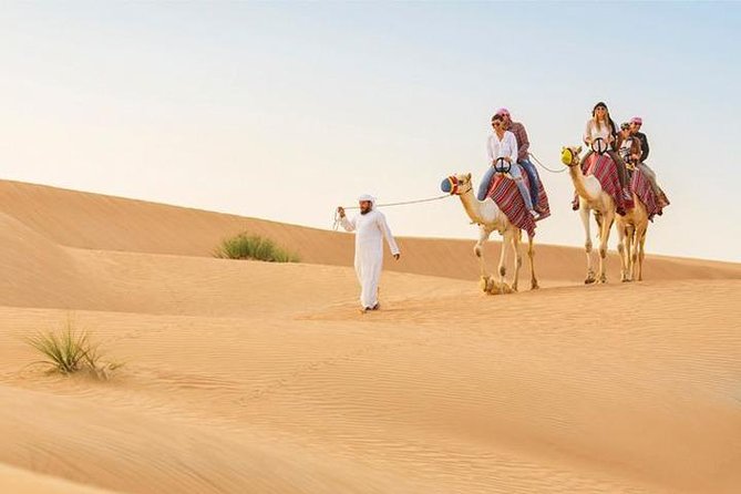 Dubai: Desert Safari with Camel Ride & Dune Bashing - Key points to know before booking