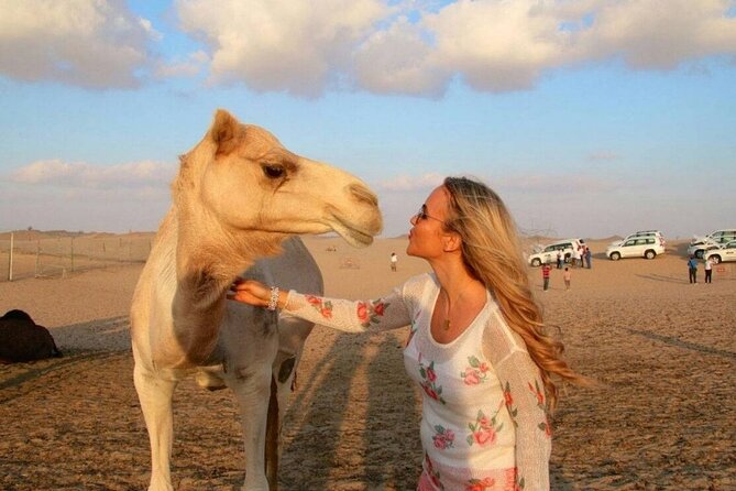 Dubai Desert Safari with Camel Riding, Sand Boarding,BBQ Dinner and 3 Live Shows - From Dubai hotel to the Al Awir dunes