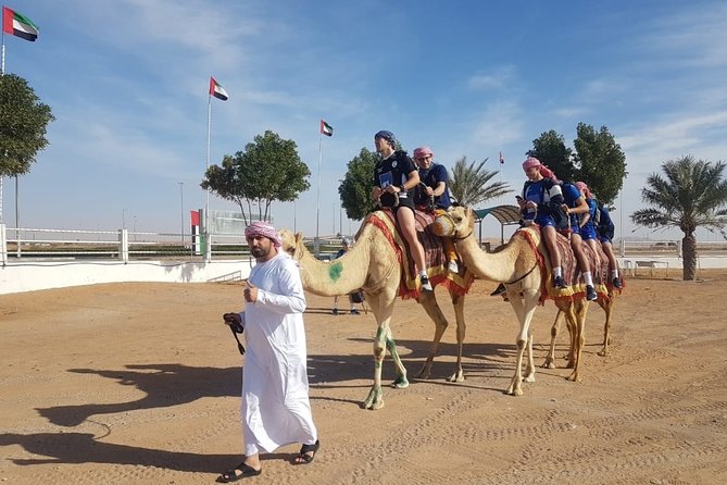 Dubai Desert Safari with Camel Riding, Sand Boarding,BBQ Dinner and 3 Live Shows - Camel riding with a traditional touch