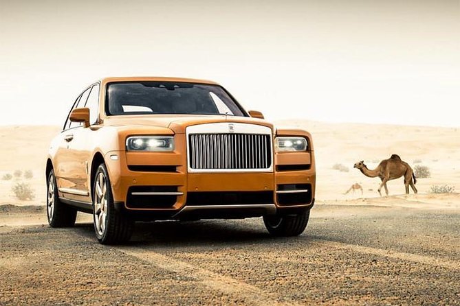 Dubai Desert Safari with Dance show, Sand Boarding, Camel & BBQ - Key points to know before booking
