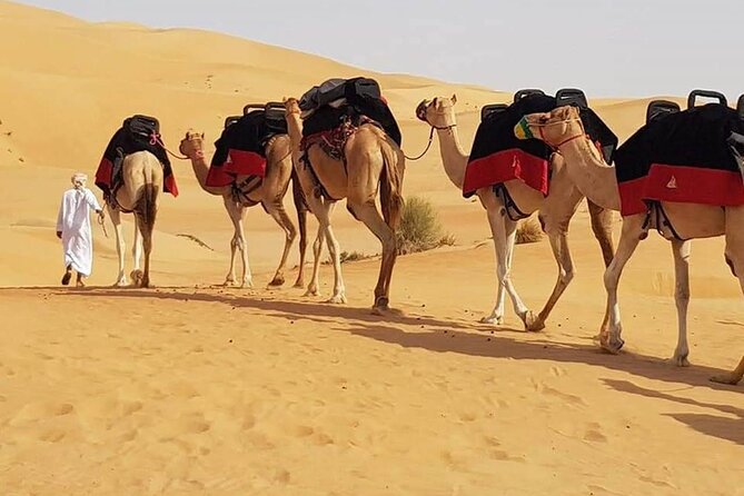 Dubai Desert Safari with Dune Bashing, Camel Ride, & BBQ Dinner - Dune bashing across the red sand