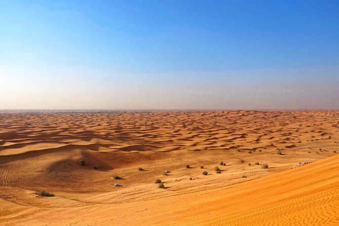 Dubai Desert Safari with Dune Bashing, Camel Rides & BBQ - Sandboarding and camel rides