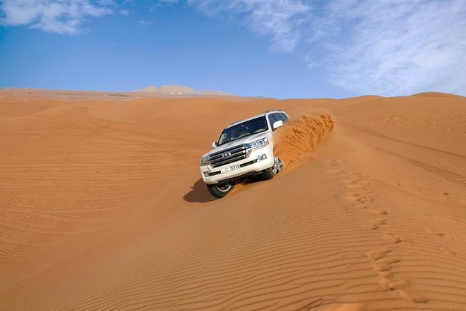 Dubai Desert Safari with Dune Bashing, Camel Rides & BBQ - Falconry and the cultural program