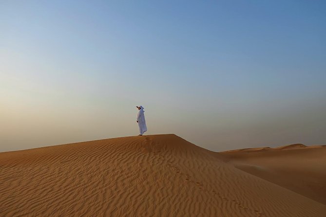 Dubai Desert Safari with Dune Bashing, Camel Rides & BBQ - BBQ dinner, vegetarian dishes, and drinks