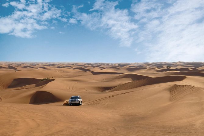 Dubai Desert Safari with Dune Bashing, Camel Rides & BBQ - What the $51 price really buys you