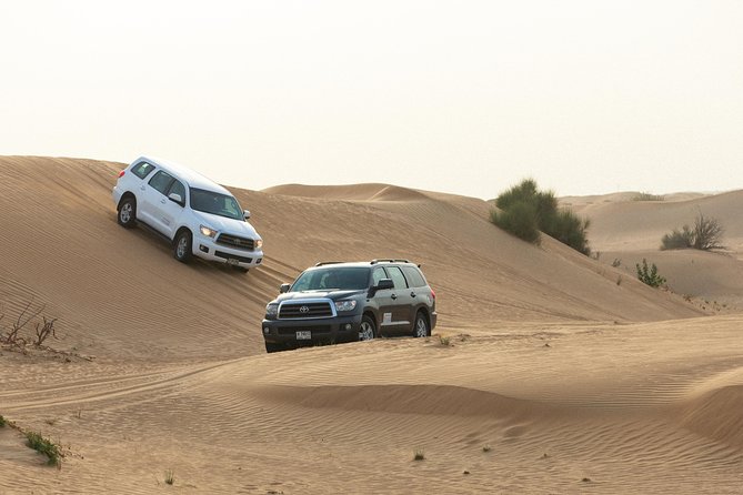 Dubai Desert Safari with Quads, BBQ Dinner, Camel ride, & Shows - Who will get the most from this safari