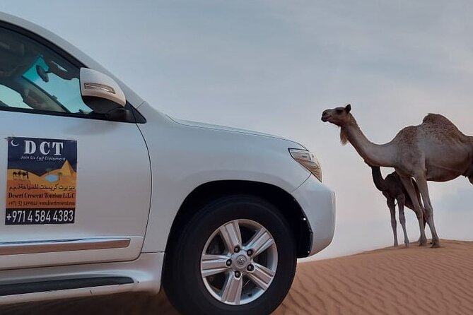 Dubai Desert Safari With Sandboarding & Camel Riding - Barbecue dinner and the question of food