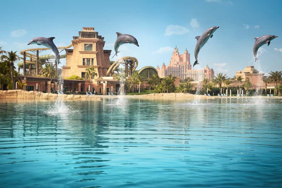 Dubai: Dolphin Encounter & Aquaventure Waterpark Ticket - Animal care and the visitor experience