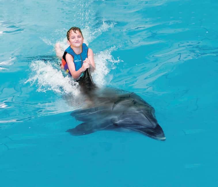 Dubai: Dubai Dolphinarium Dolphin, Seal & Bird Show Tickets - Getting to Dubai Dolphinarium inside Creek Park