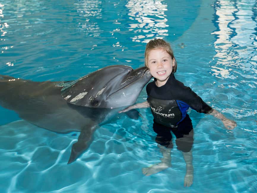 Dubai: Dubai Dolphinarium Dolphin, Seal & Bird Show Tickets - Practical ways to make the visit smoother