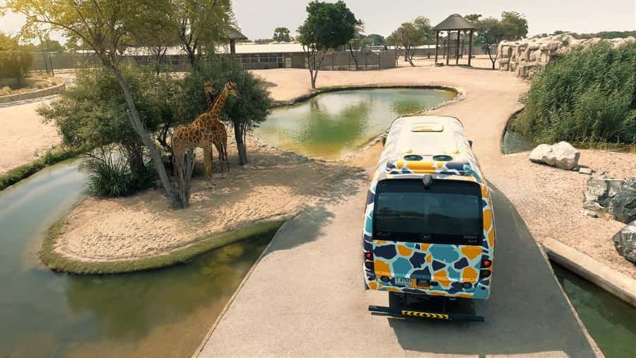 Dubai: Dubai Safari Park Entry Pass - Explorer Village and the optional bus safari
