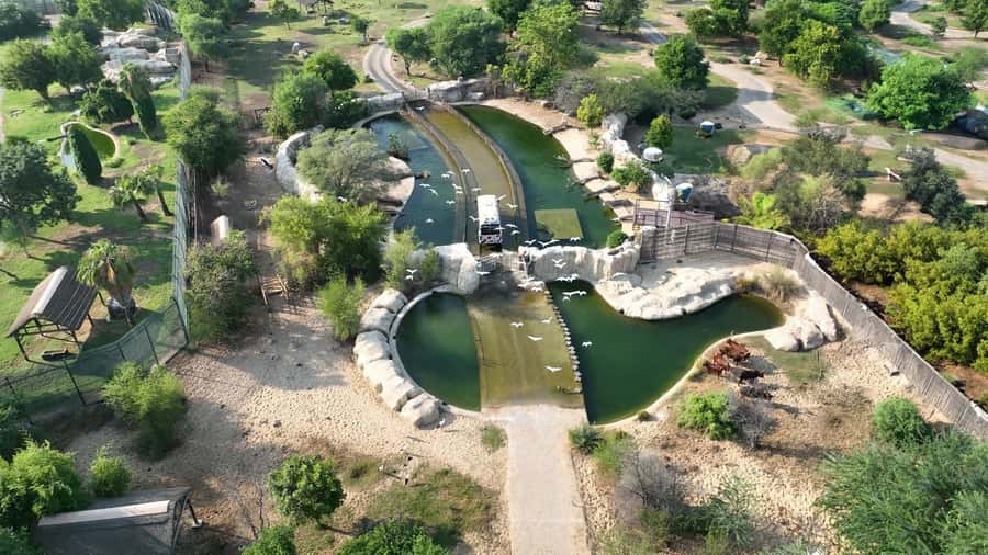 Dubai: Dubai Safari Park Entry Pass - Asian Village and the live animal presentations