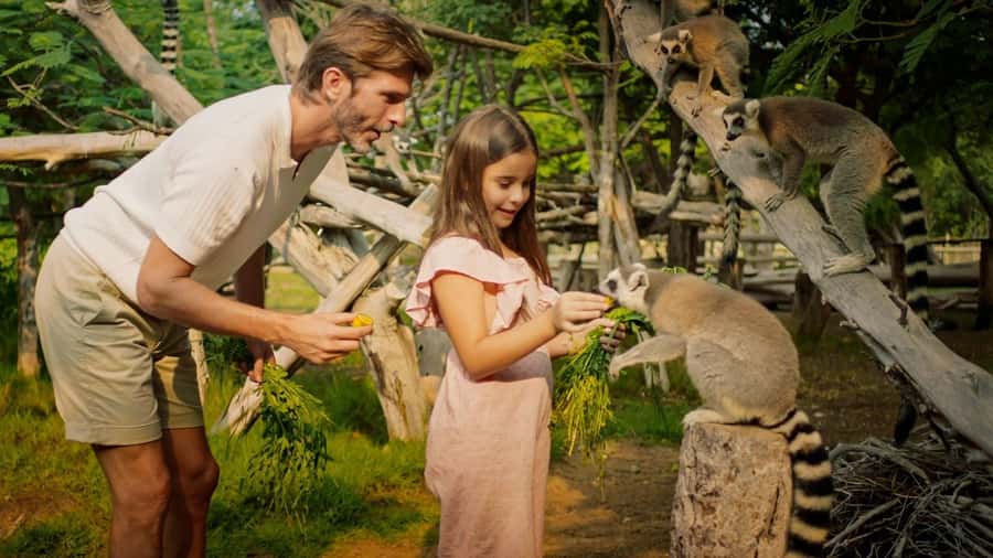 Dubai: Dubai Safari Park Entry Pass - Kids Farm: the easiest win for younger children
