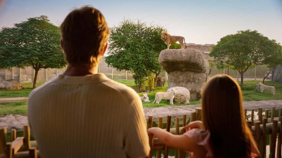 Dubai: Dubai Safari Park Entry Pass - Feeding sessions, talks, and a sensible daily plan