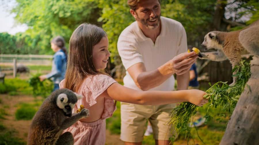 Dubai: Dubai Safari Park Entry Pass - Heat, shade, food, and comfort