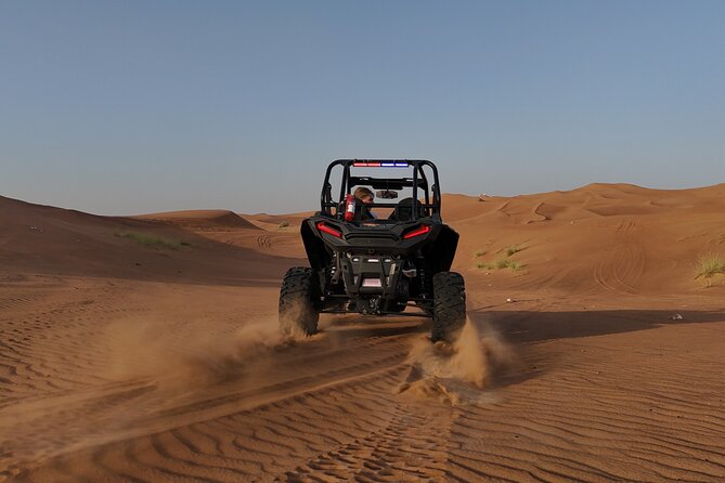 Dubai: Dune Buggy Safari and Camel Ride with Transportation - What the private format really changes