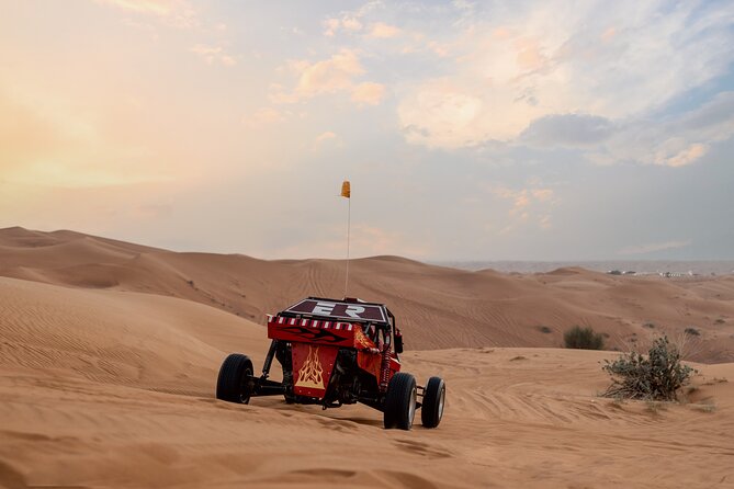 Dubai Dune Buggy Safari Tour in Red Dunes Options - Who will get the most from this tour