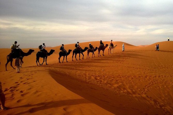 Dubai Evening 4x4 Desert Safari ATV Bike ,Camel Ride , BBQ Dinner - Arriving at the Arabian camp