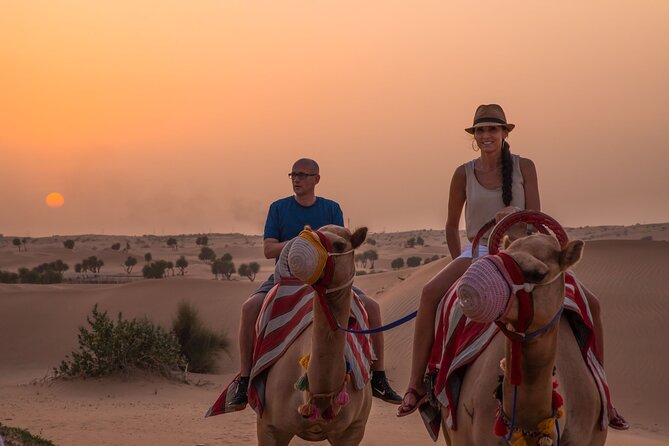 Dubai: Evening Camel Caravan, Bedouin Dinner at Al Marmoom Oasis - Why Al Marmoom Makes a Better Desert Introduction