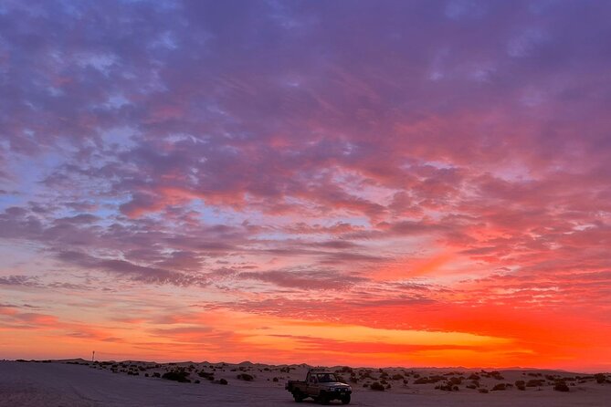 Dubai Evening Desert Safari - Who will enjoy this safari most