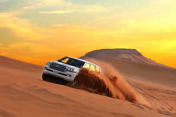 Dubai Evening Desert Safari & BBQ Dinner - What the guides add to the experience