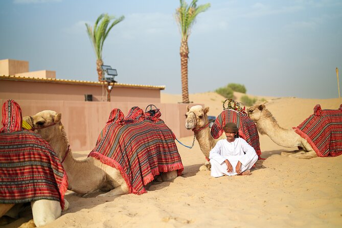 Dubai Evening Desert Safari BBQ Dinner & Transfer to Noble Camp - How the guides affect your day