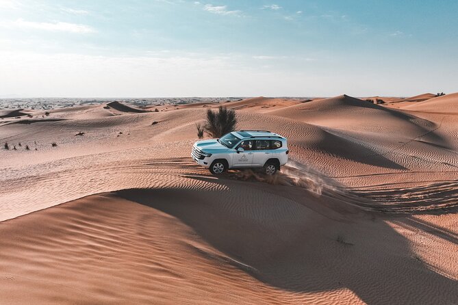 Dubai Evening Desert Safari: Sandboarding, BBQ, Camel Ride & more - Dinner under the stars